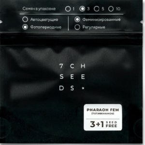 Безымянный.jpg