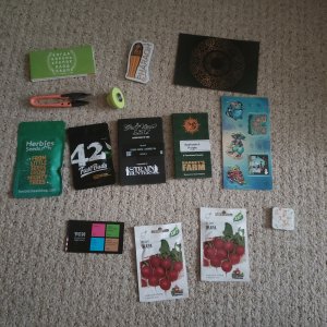 1000010280.jpg