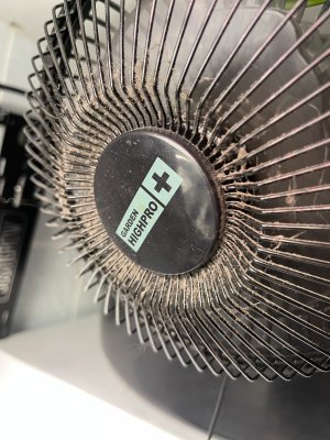 IMG_9909.jpeg