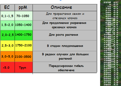 1728646042638.png