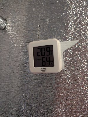 1000008957.jpg