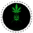 Karigan
