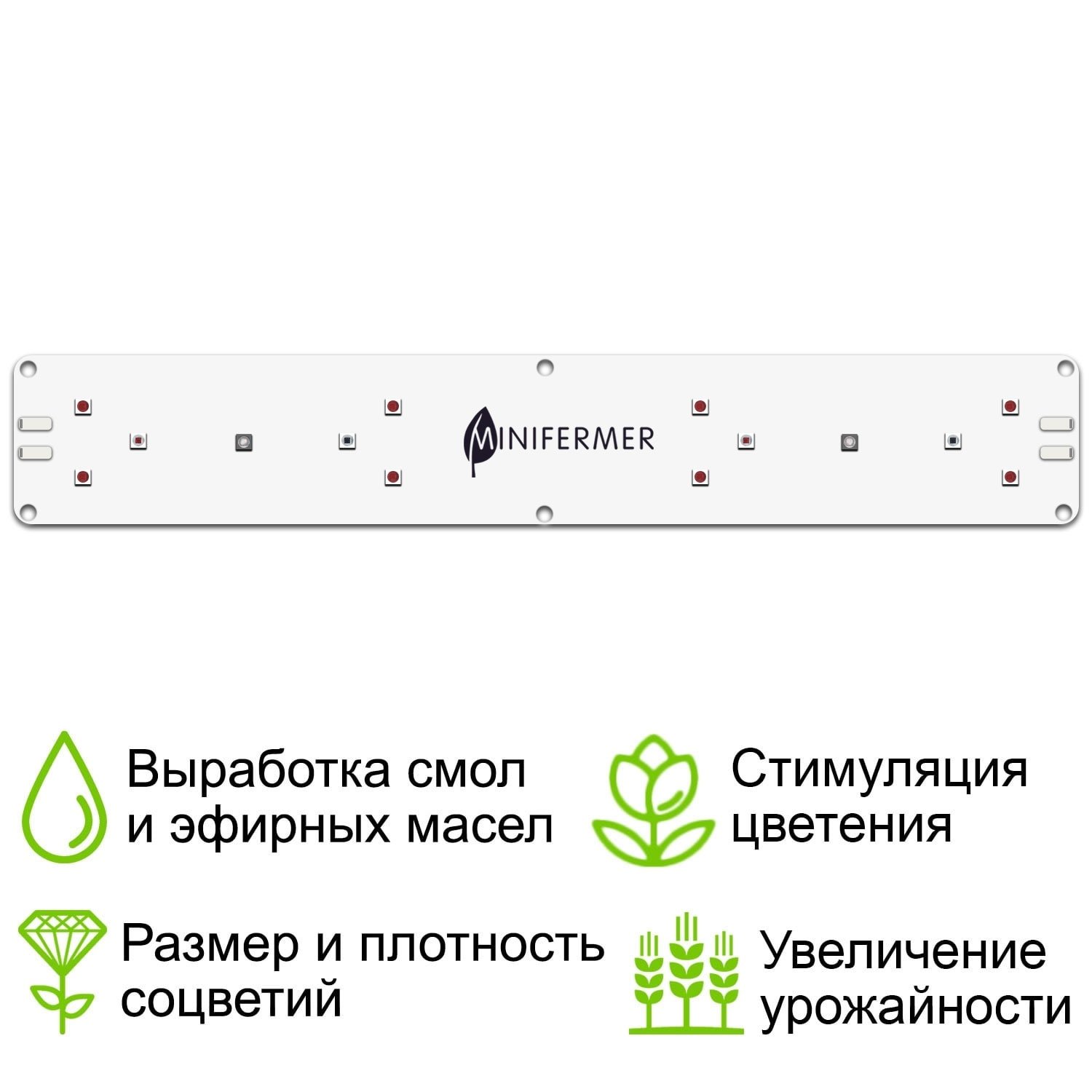 minifermer.ru