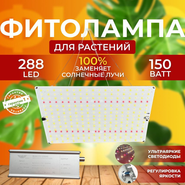 www.ozon.ru